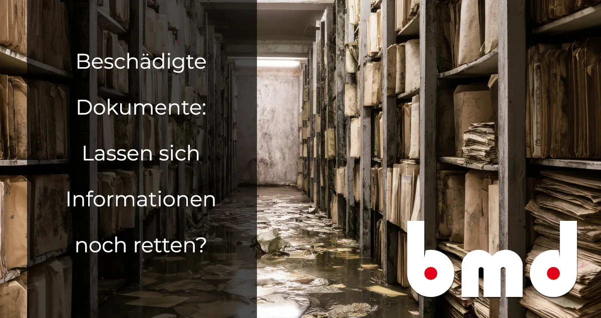 bmd blog
